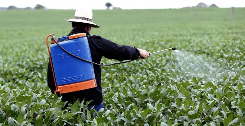 No Brasil, o maior consumidor de pesticidas no Mundo, cada pessoa ingere  cerca 5 Litros de agrotóxicos ao ano | Tecnoveste